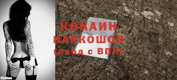 прущие грибы Абинск