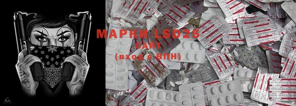 прущие грибы Абинск