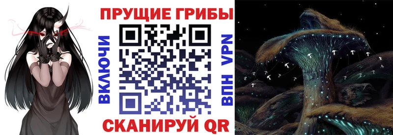 Галлюциногенные грибы ЛСД  МЕГА как зайти  Канаш  купить наркотик 